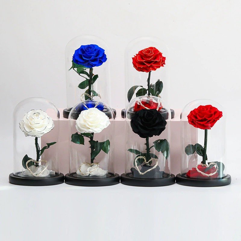 YS-015 Wholesale valentines day gift Real in Glass Dome Roses Never Withered Flower Preserved Flowers Preserved Rose In Glass
