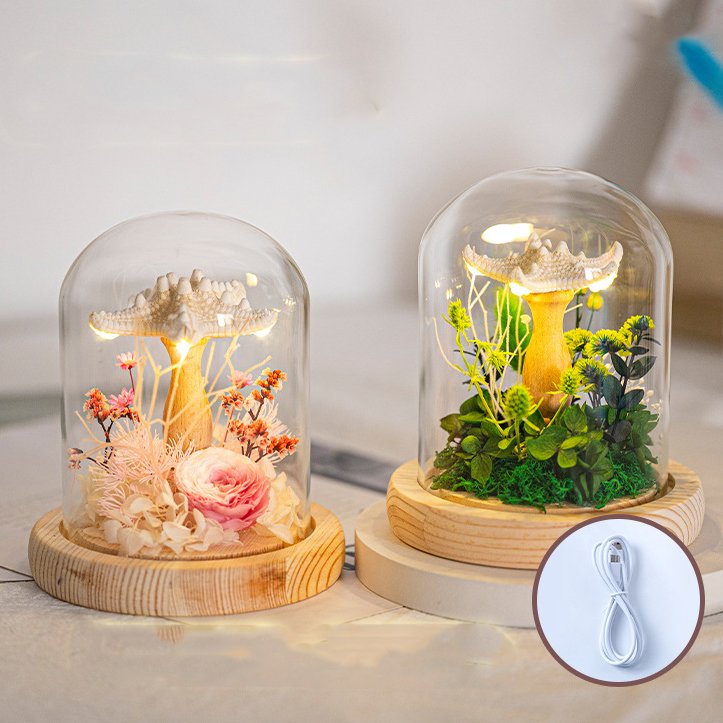 Creative Led Glass Lampshade Sea Urchin Shell Jellyfish Lamp & Preserved Flower Festivals Gift Sea Urchin Shell Night Light