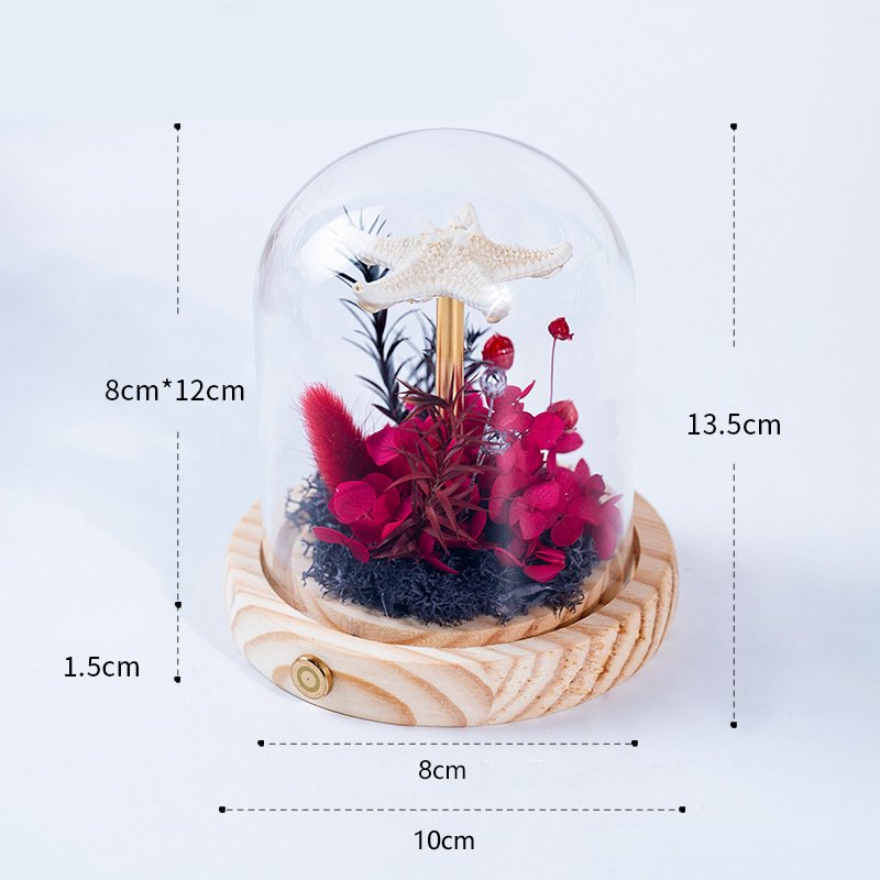 Creative Led Glass Lampshade Sea Urchin Shell Jellyfish Lamp & Preserved Flower Festivals Gift Sea Urchin Shell Night Light