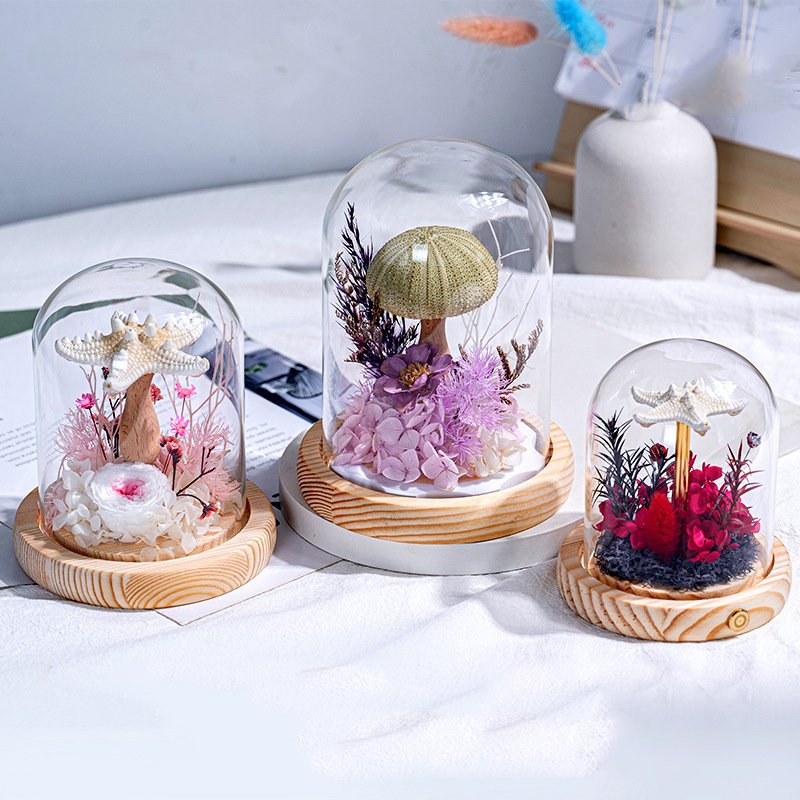 Creative Led Glass Lampshade Sea Urchin Shell Jellyfish Lamp & Preserved Flower Festivals Gift Sea Urchin Shell Night Light