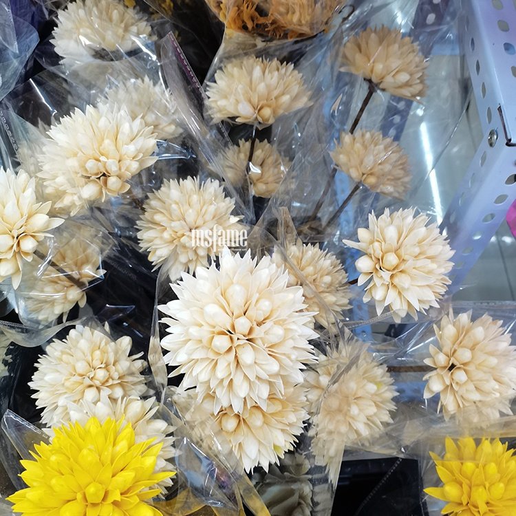 Factory wholesale magnolia dried flower mini bouquet preserved flowers and plants