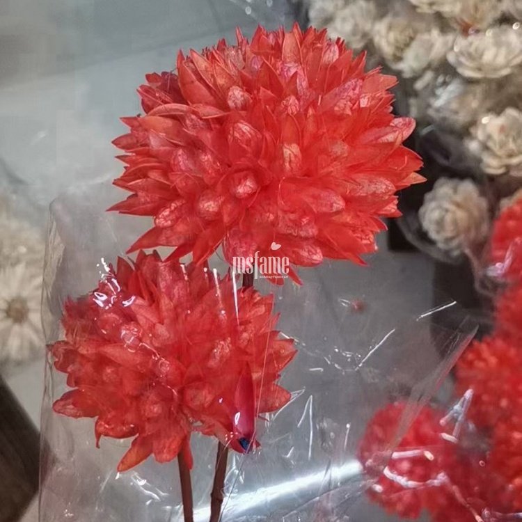 Factory wholesale magnolia dried flower mini bouquet preserved flowers and plants