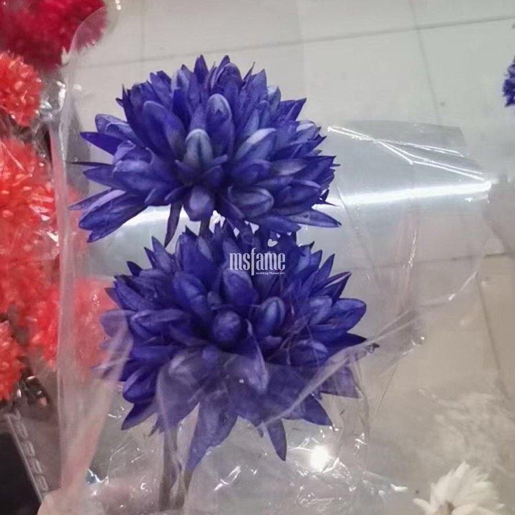 Factory wholesale magnolia dried flower mini bouquet preserved flowers and plants