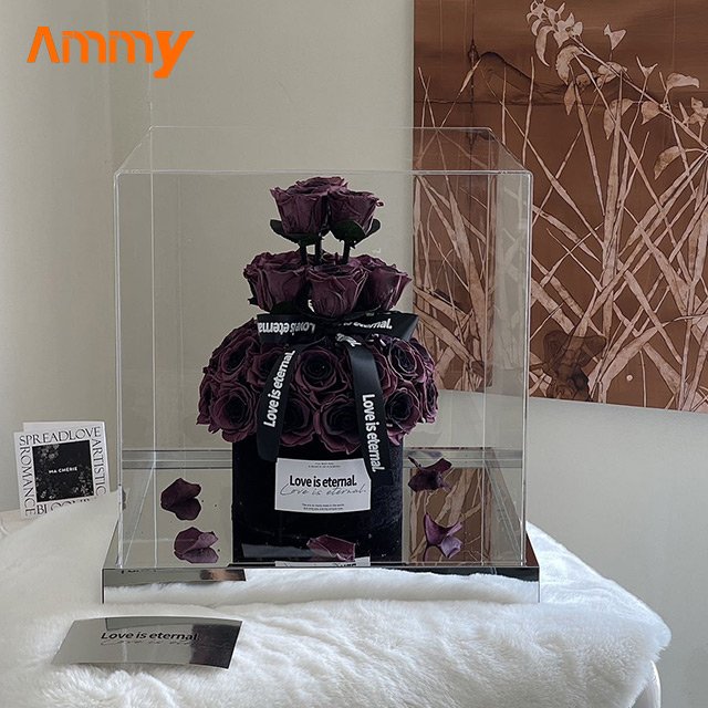 AM-PFE72 Ammy Luxury Gift Preserved Roses in Gift Box Everlasting Rose in Acrylic Box Valentine's Day gifts Immortal flower