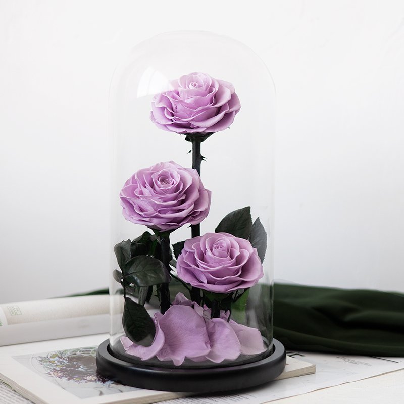 Newest hot sale Life After Life Series Preserved Flower Ornaments For Girl friend's Gift Wedding Decoration flowers
