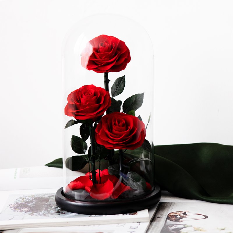 Newest hot sale Life After Life Series Preserved Flower Ornaments For Girl friend's Gift Wedding Decoration flowers
