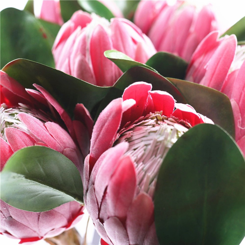 Ready to ship protea Artificial protea crynaroides silk flower stem for garden wedding