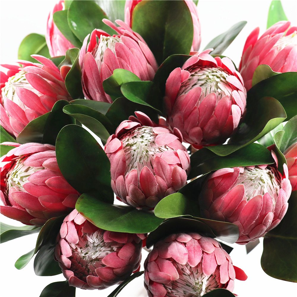Ready to ship protea Artificial protea crynaroides silk flower stem for garden wedding