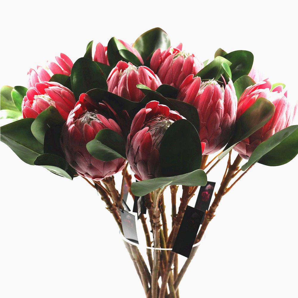Ready to ship protea Artificial protea crynaroides silk flower stem for garden wedding