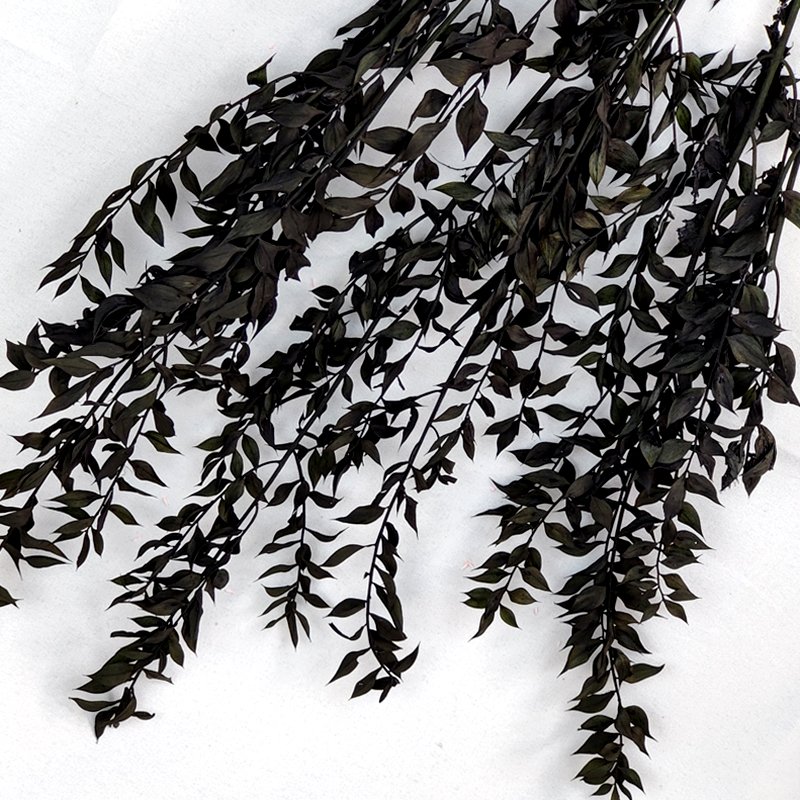 Preserved Italian Ruscus Fucus Leaves Iced Mocha Floral Design Arrangement DIY Dried Flowers Wedding Decor Italian Ruscus