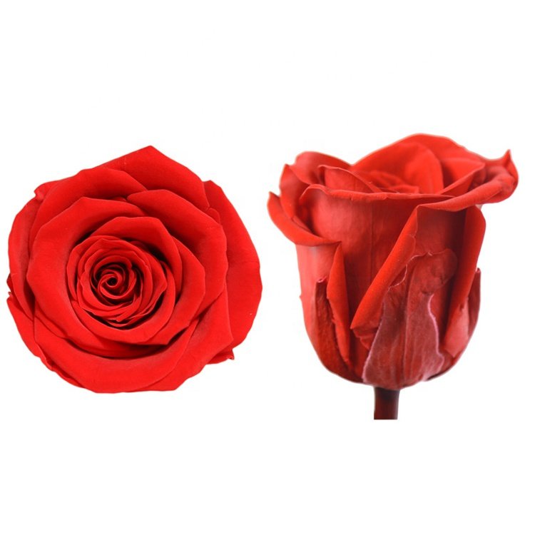 Bulk Grade A 4-5cm Long Lasting Eternal Forever Real Head Preserved Roses in a Box Decorative Flowers for Valentine Mother' day