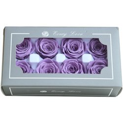 lavenple