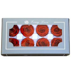 Vermilion