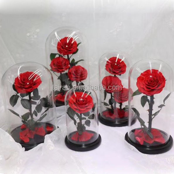 Wholesale wine red color eternal roses preserved roses flowers in glass dome for Saint Valentine's Day Mother's day