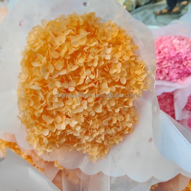 2024 Hot Dried Flowers Head Wholesale Preserved Hydrangea Dried Pink Anna Hydrangea Flower Home Wedding Decorations
