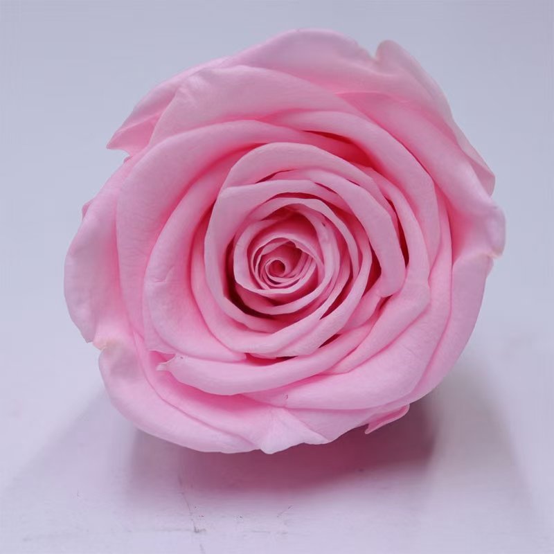 4-5 cm Best Real Natural Eternal Forever Immortal Flower Grade B Rose Buds Everlasting Preserved Roses For Flower Arrangement