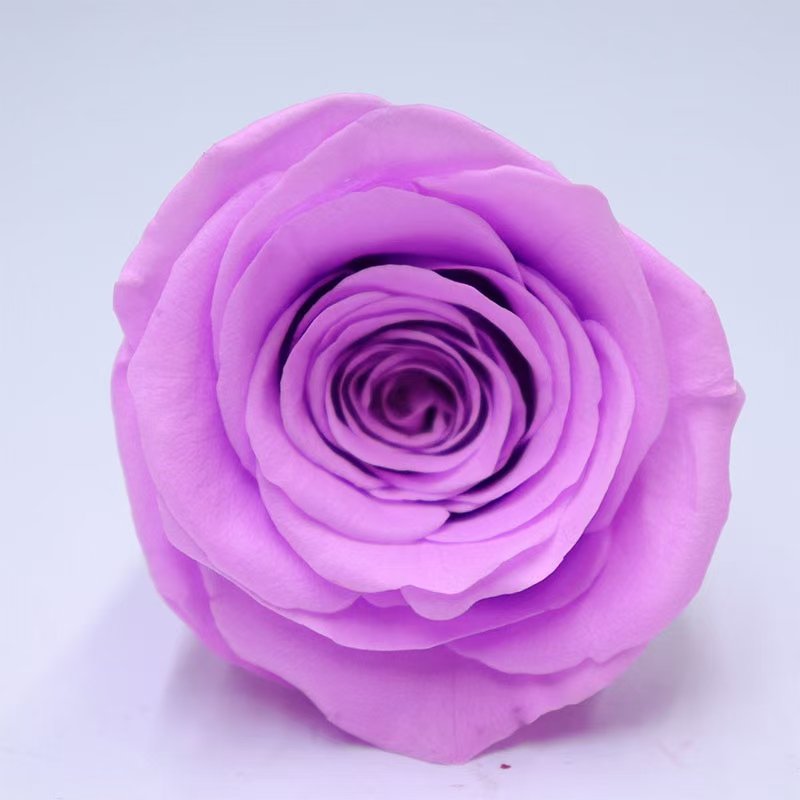 4-5 cm Best Real Natural Eternal Forever Immortal Flower Grade B Rose Buds Everlasting Preserved Roses For Flower Arrangement