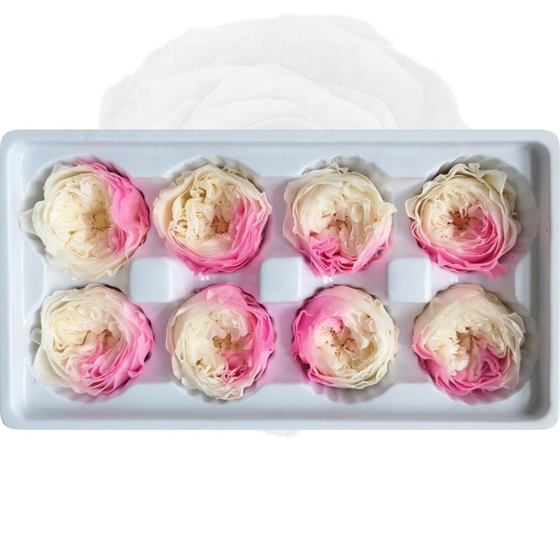 Kunming high quality peony preserved austin rose for home decor