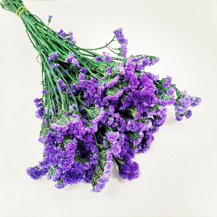 SumFlora Wholesale women Valentines day gift products Blue Red graceful preserved flower forget me not
