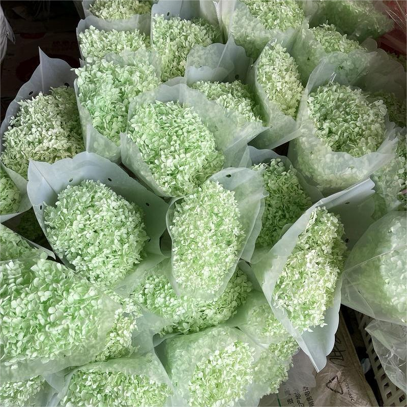 Factory Wholesale Preserved Hydrangea Flower Dried Hydrangea Real Plants for Home Flower Vase Decor