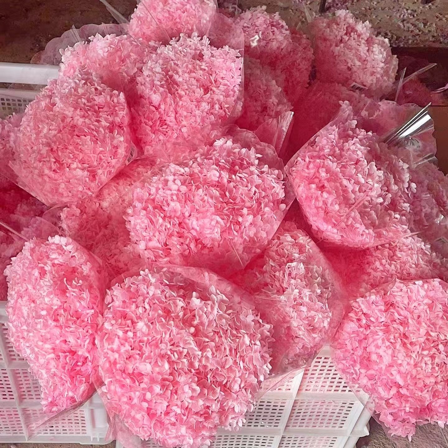 Factory Wholesale Preserved Hydrangea Flower Dried Hydrangea Real Plants for Home Flower Vase Decor