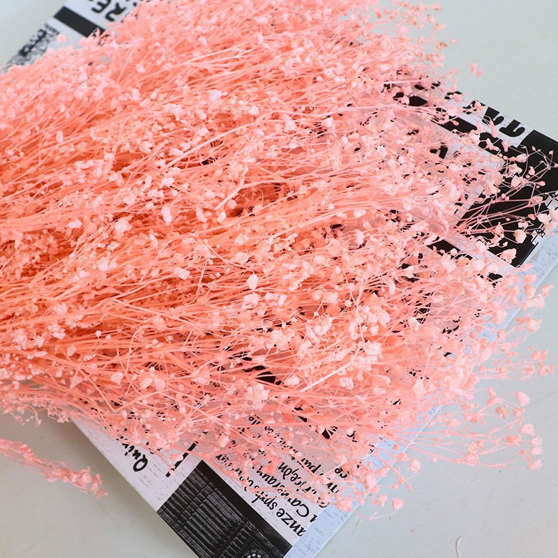 Little Mantian Star Dried Flower Multi Color Combination Mapping preserved flowers bleached dream star flower babysbreath