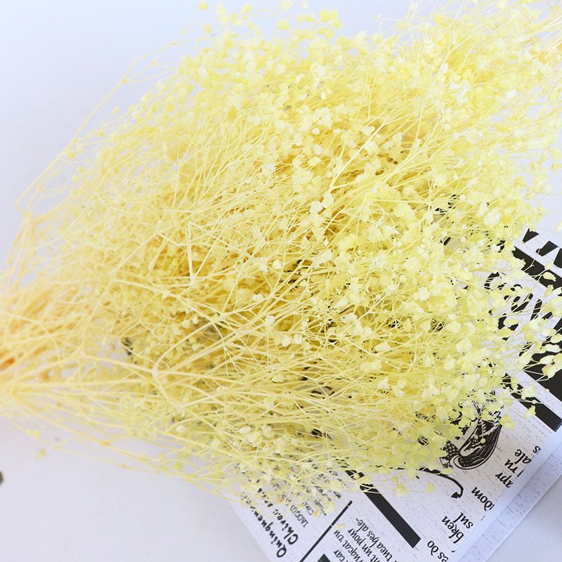 Little Mantian Star Dried Flower Multi Color Combination Mapping preserved flowers bleached dream star flower babysbreath