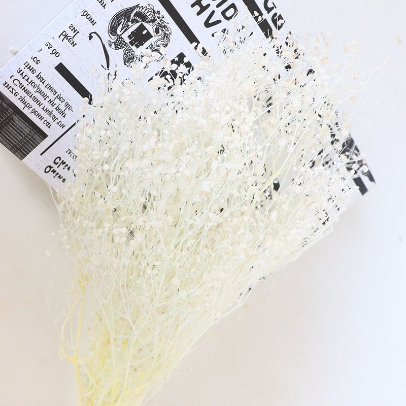 Little Mantian Star Dried Flower Multi Color Combination Mapping preserved flowers bleached dream star flower babysbreath