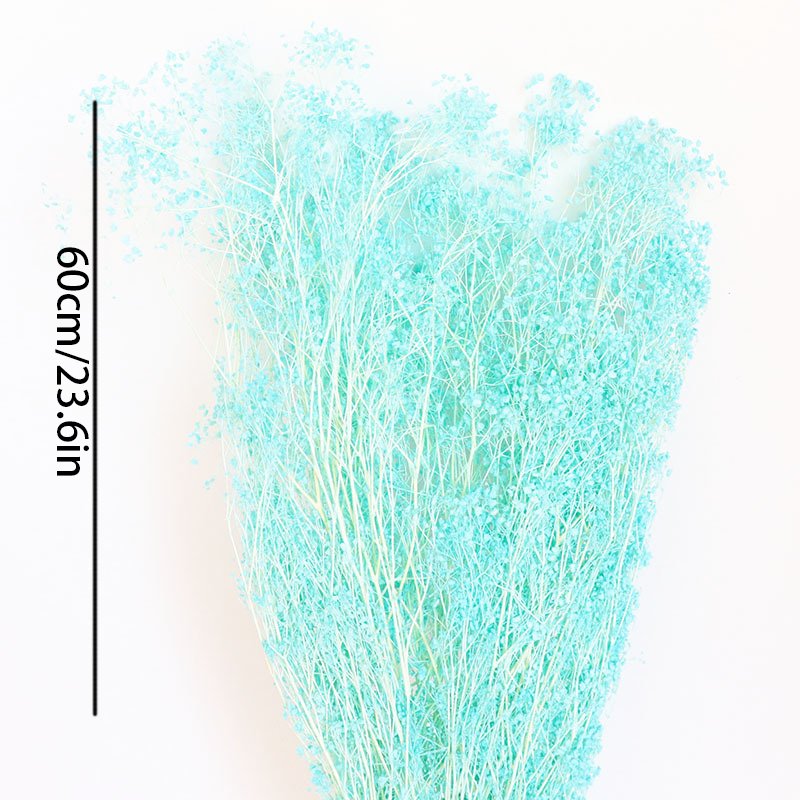 Little Mantian Star Dried Flower Multi Color Combination Mapping preserved flowers bleached dream star flower babysbreath