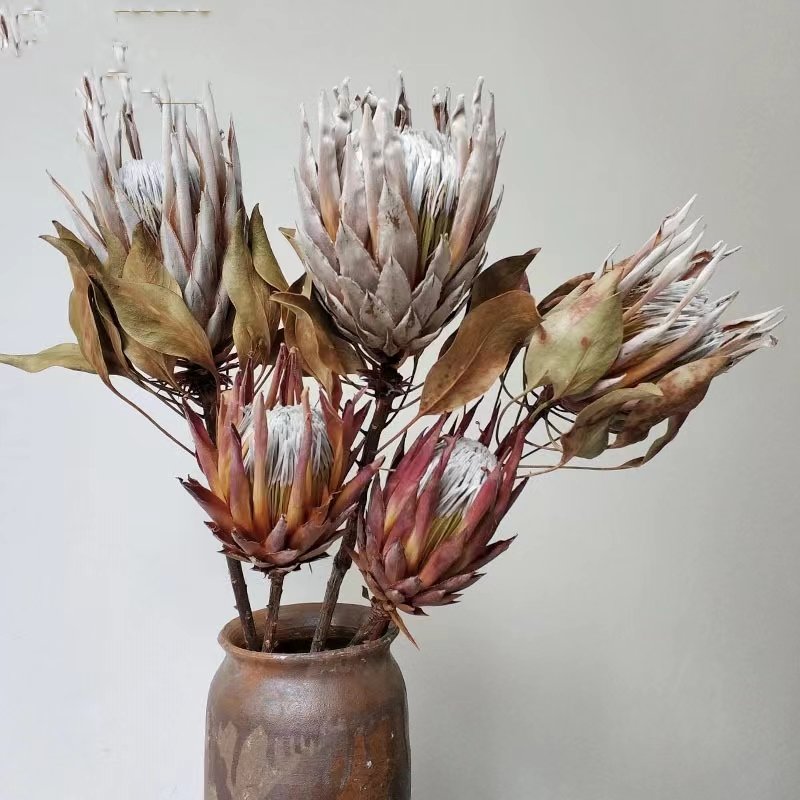 Pampas Wedding Decoration Dried Flowers Home Decoration Grass Natural Plants Eternal Flowers Wisteria Flowers Easter Decoration