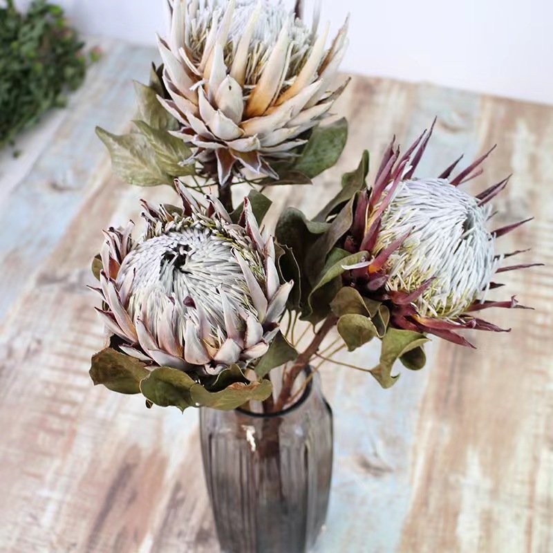Pampas Wedding Decoration Dried Flowers Home Decoration Grass Natural Plants Eternal Flowers Wisteria Flowers Easter Decoration