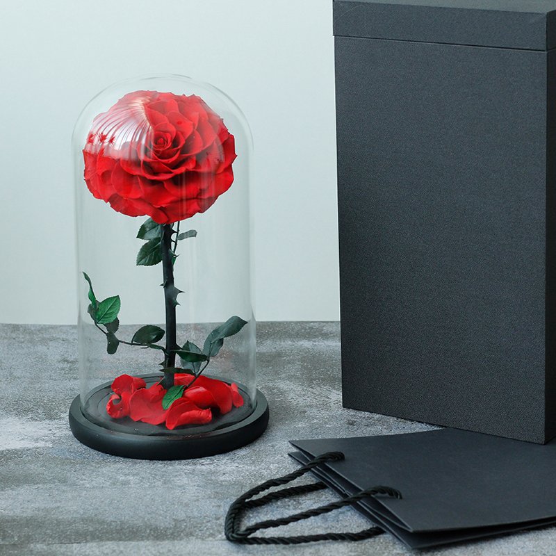 Lovebay Eternal Rose Moss Long Stem Red Single Flowers Morthers Day Everlasting Preserved Flower Forever Roses In Glass Dome