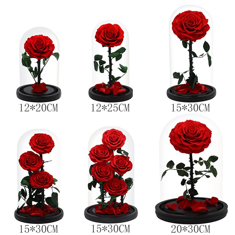 Lovebay Eternal Rose Moss Long Stem Red Single Flowers Morthers Day Everlasting Preserved Flower Forever Roses In Glass Dome