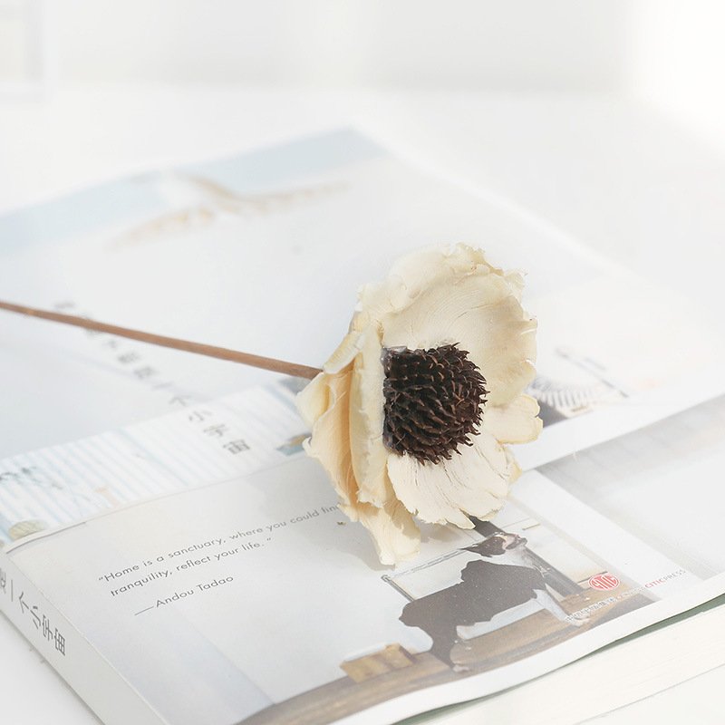 Dried wood flowers Handmade corn dried red poppy flower for decorative flowers