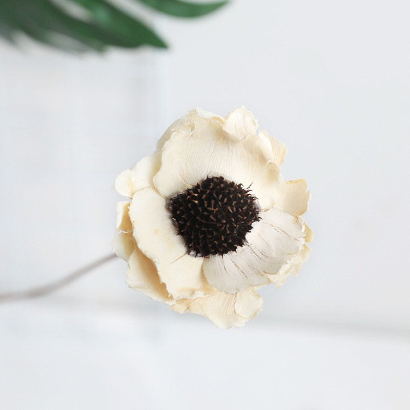 Dried wood flowers Handmade corn dried red poppy flower for decorative flowers