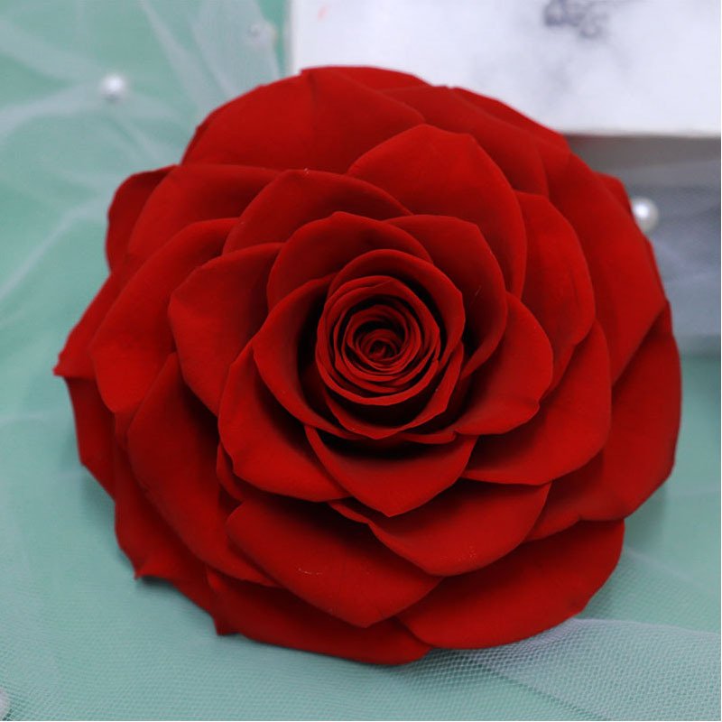 Wholesale high quality 9-10cm Rose Heads preserve big roses Preserved Flowers for box