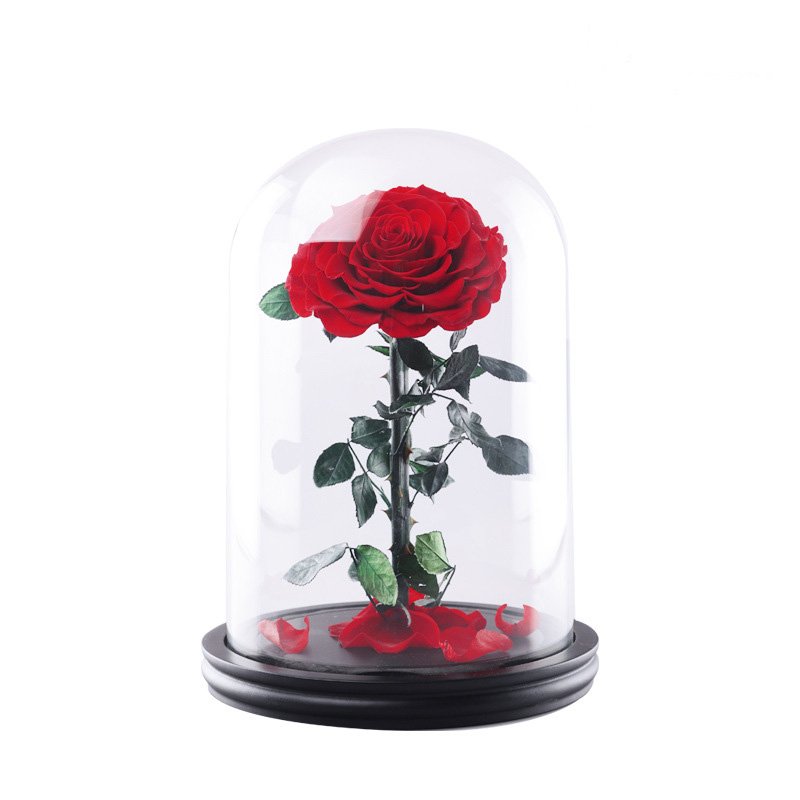 Wholesale high quality 9-10cm Rose Heads preserve big roses Preserved Flowers for box
