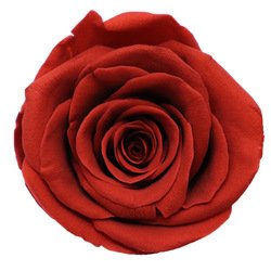 Vermilion