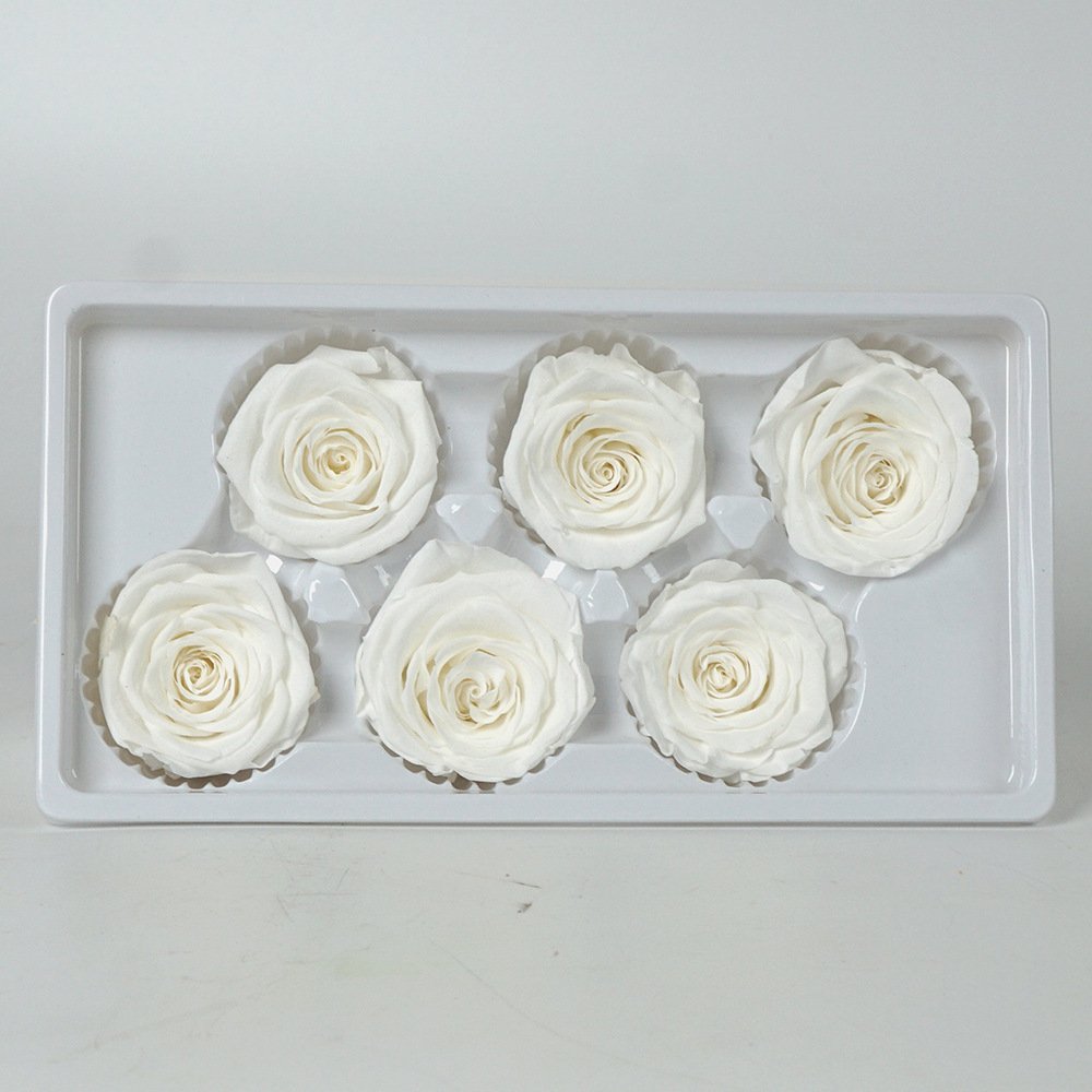 Grade A 5-6cm Preserved Flower Plants Eternity Dried Flowers Wholesale Customize White Black Rose Color Forever Rose Flowers