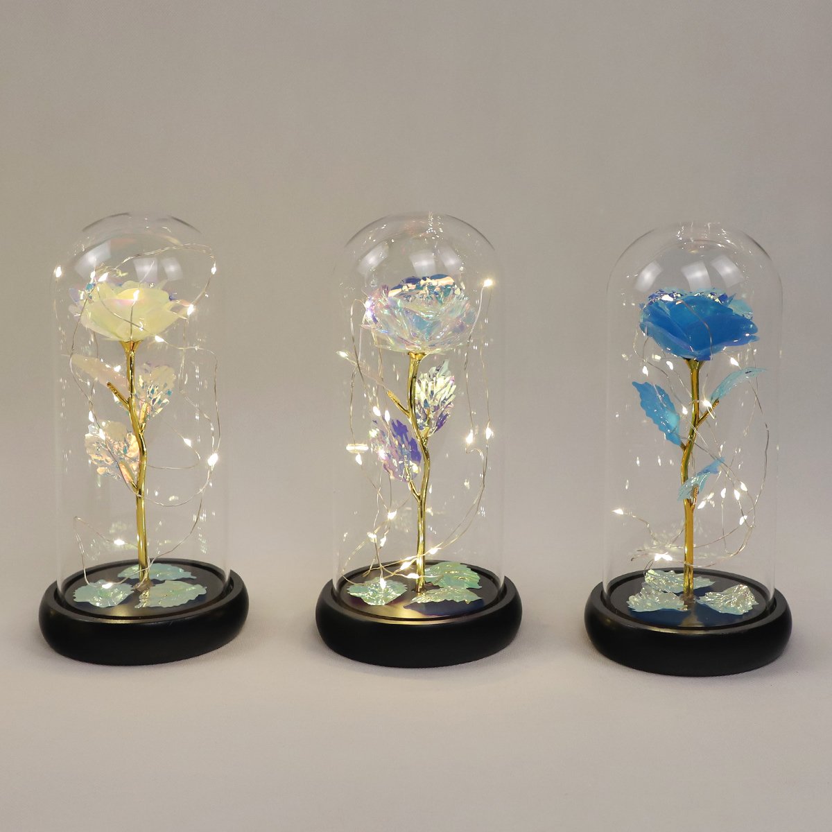 Valentine's Day Gift Two Preserved Flower Led Lights in Glass Dome Eternal Rose Ornaments Mother's Day Gift Home Decoration