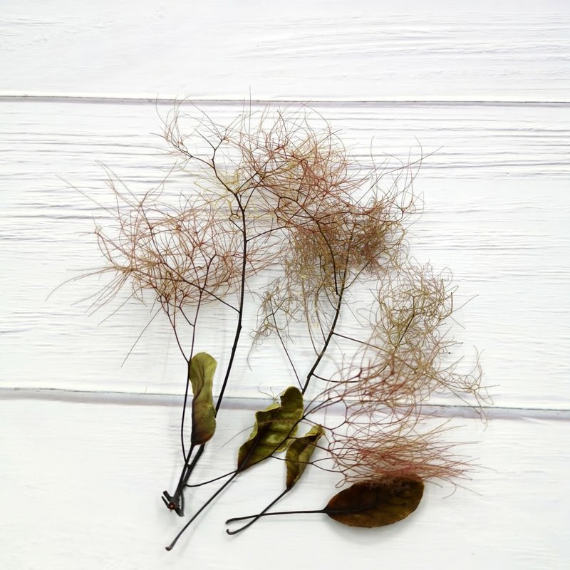 SumFlora Wholesale New design Dubai real natural flower Decoration Colorful Unfading Flower In Glass preserved flower smoke bush