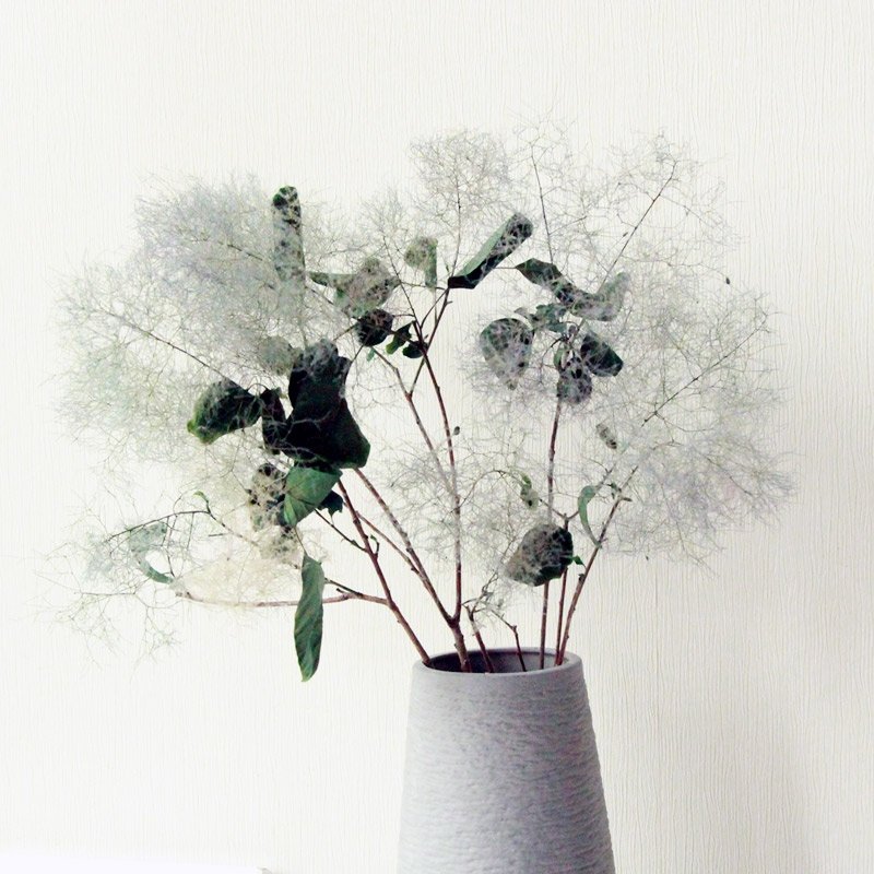 SumFlora Wholesale New design Dubai real natural flower Decoration Colorful Unfading Flower In Glass preserved flower smoke bush