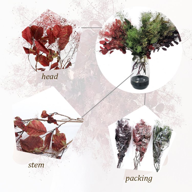 SumFlora Wholesale New design Dubai real natural flower Decoration Colorful Unfading Flower In Glass preserved flower smoke bush