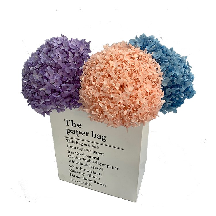 SumFlora natural pink Valentine flower for home decoration preserved flower hydrangea