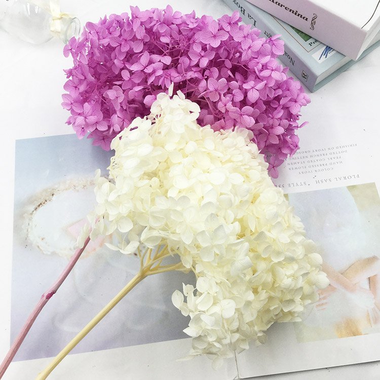SumFlora natural pink Valentine flower for home decoration preserved flower hydrangea
