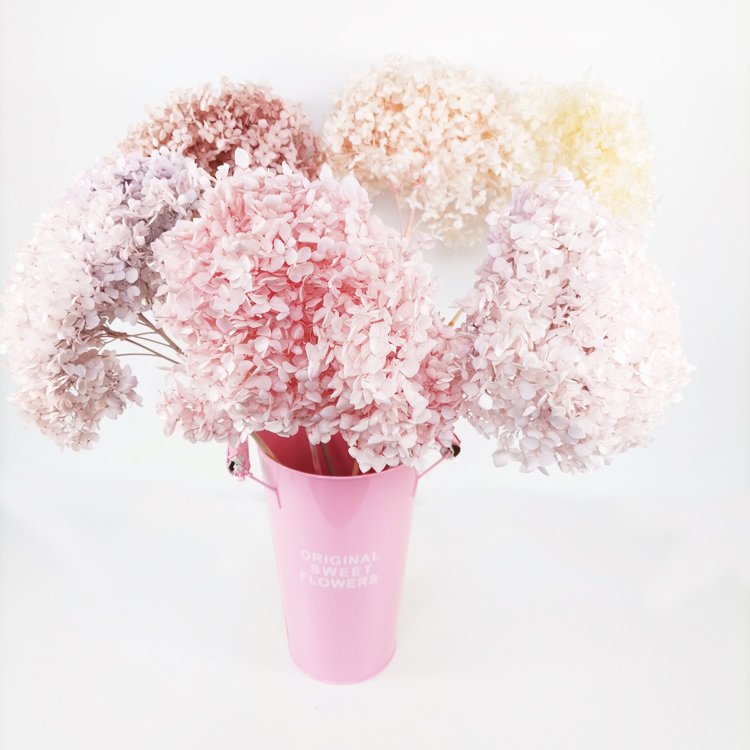 SumFlora Everlasting Fresh Real Touch Flower for Valentines Days preserved flower hydrangea