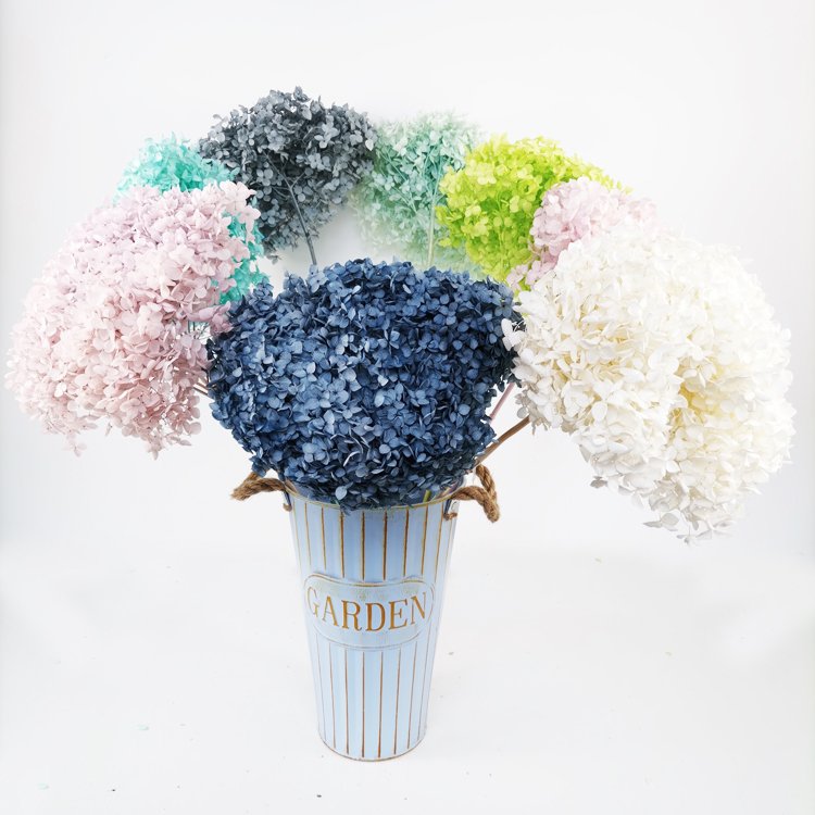 SumFlora Everlasting Fresh Real Touch Flower for Valentines Days preserved flower hydrangea