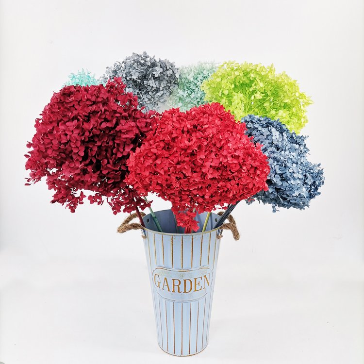 SumFlora Everlasting Fresh Real Touch Flower for Valentines Days preserved flower hydrangea
