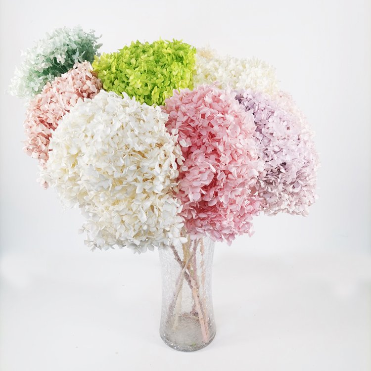 SumFlora Everlasting Fresh Real Touch Flower for Valentines Days preserved flower hydrangea