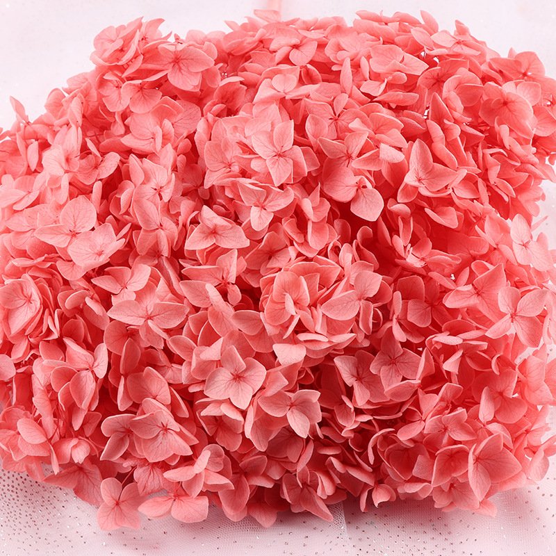 Ychon Handmade Preserved flowers hydrangeas DIY photography props Floral hydrangeas flowers artificial wedding